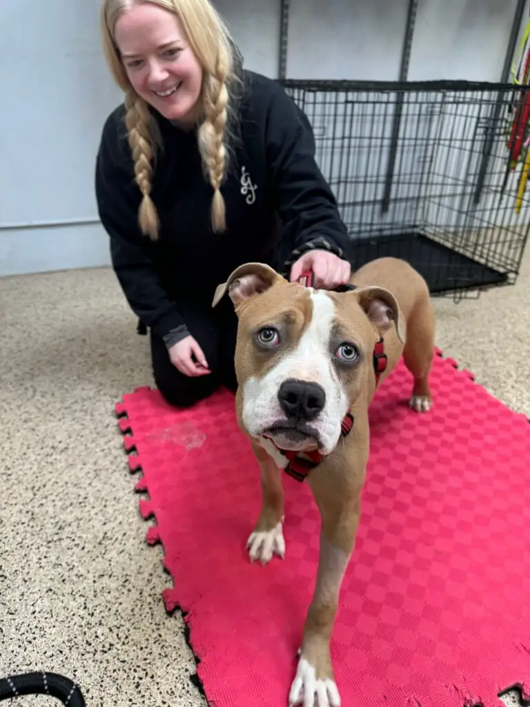 smiling woman holding dog